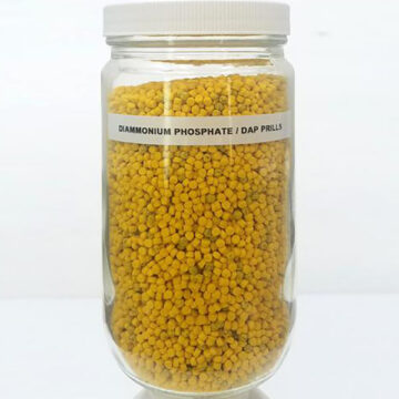 Diammonium Phosphate (DAP) Prills, Large Sample - Inert Training Aid