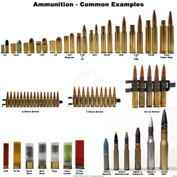 Ammunition Examples Poster - Inert Products LLC