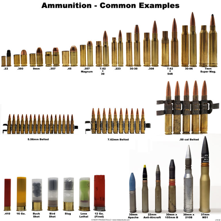 Ammunition Examples Poster - Inert Products LLC